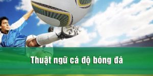 Thuật Ngữ Cá Độ Bóng Đá - Tin Tức Quan Trọng Nên Nắm Rõ