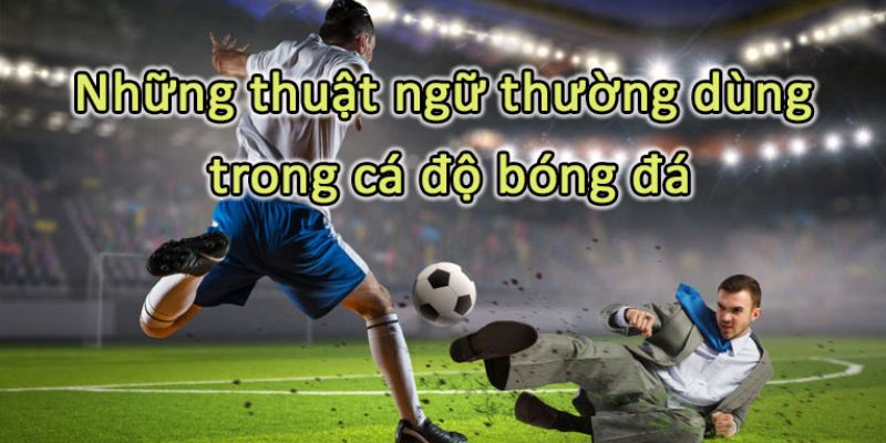 Các thuật ngữ bóng đá thông dụng